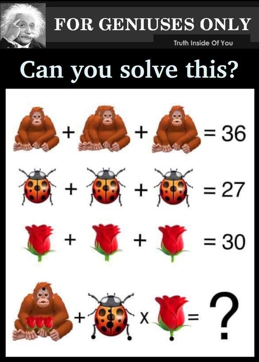 RIDDLE: Ape Bug Rose Maths Puzzle