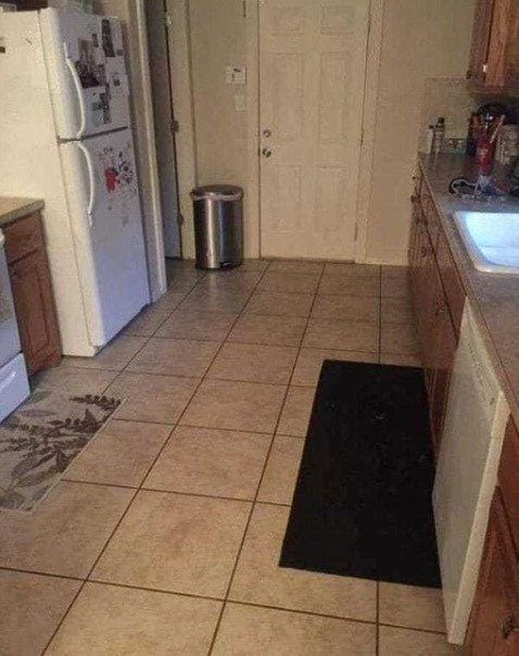 There’s a big dog hiding in this kitchen, but only a few can find it… The answer is in