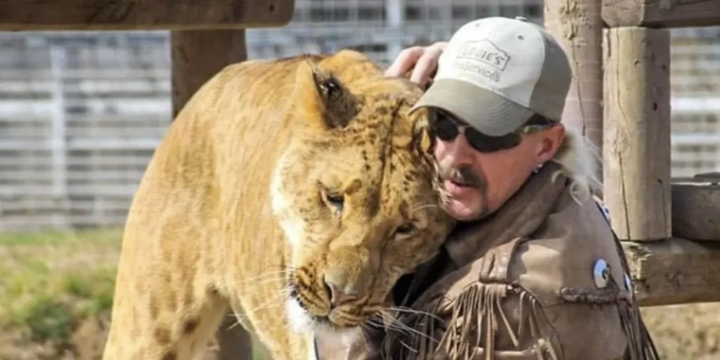 ‘Tiger King’ Star Joe Exotic, 61, Gets Engaged to Fellow Inmate, 33, Sparking Reactions — Photos of His New Fiancé