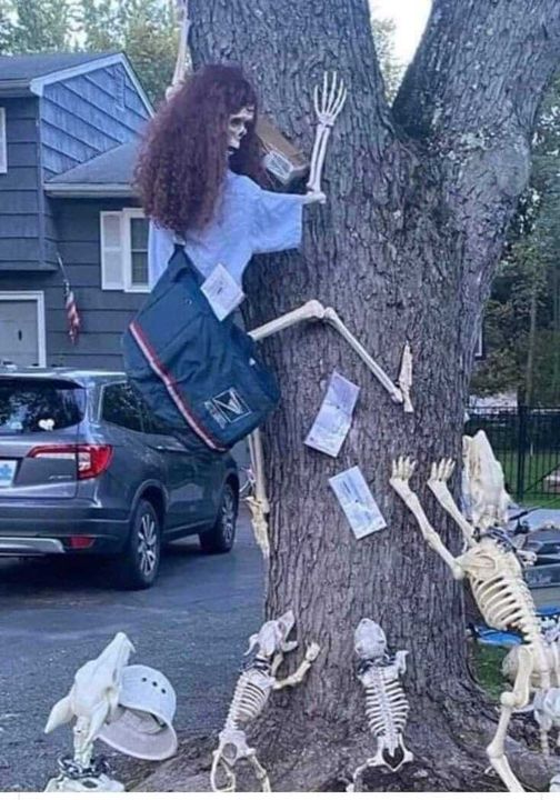 The Best Halloween Decoration Idea